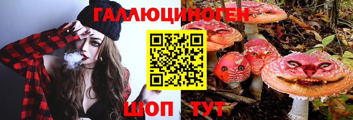 Галлюциногенные грибы MAGIC MUSHROOMS Абакан