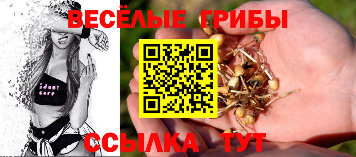 Псилоцибиновые грибы Psilocybine cubensis  Вход с VPN  Абакан  где можно купить наркотик  Галлюциногенные грибы Psilocybine cubensis 